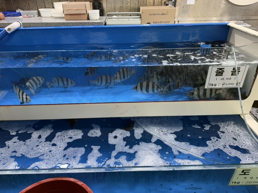 세종수산 사진 2