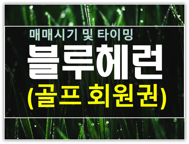  블루헤런CC 회원권 매매시기 및 타이밍 분석