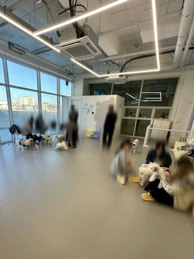사진 6