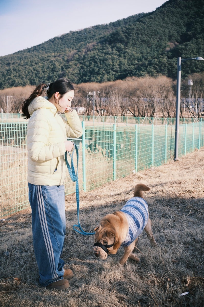 스파오 씬라이트 경량패딩 후기 착용샷/ 겨울 여자 경량패딩 추천