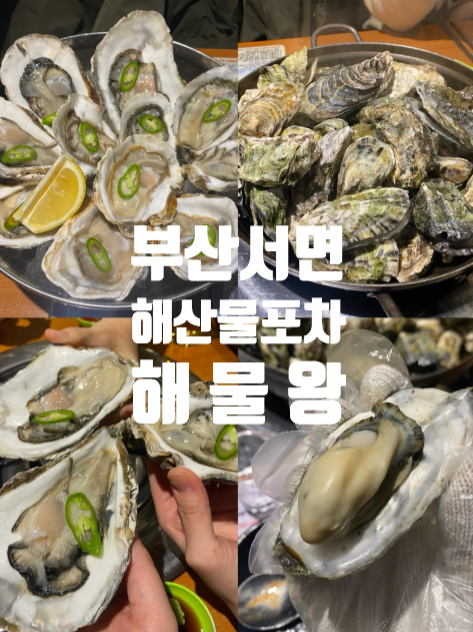 해물왕 사진 1