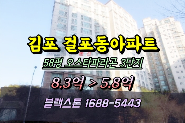  걸포동 오스타파라곤3단지 경매 58평 309동 급매