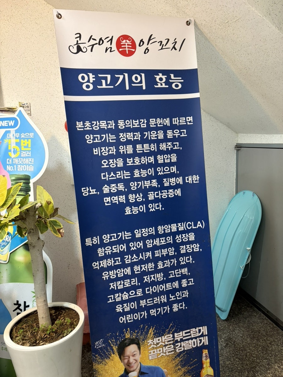 콧수염양꼬치 사진 2