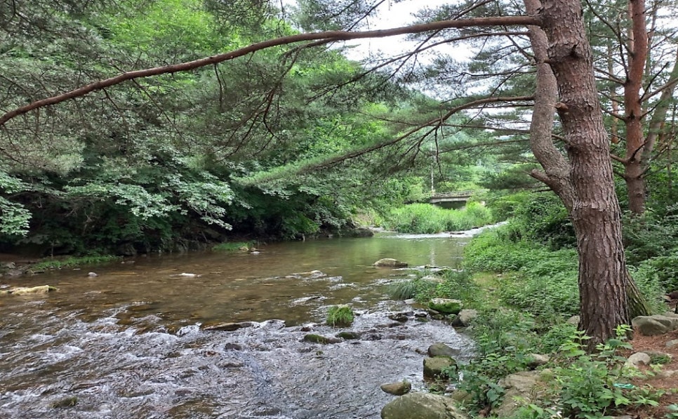 참새골 사진 1