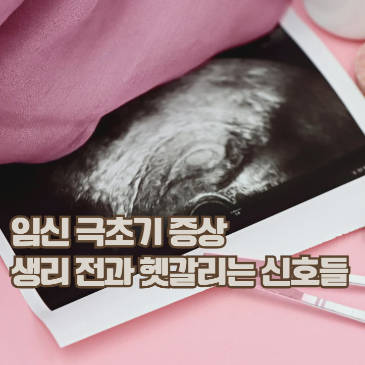  임신 극초기 증상, 생리 전과 헷갈리는 신호 한눈에 정리