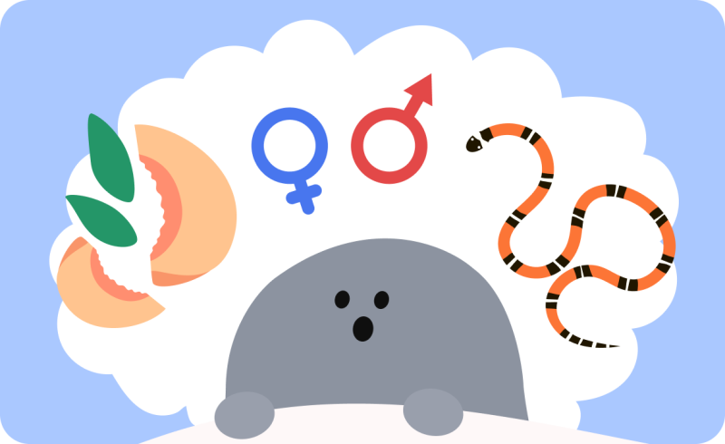 태몽 종류와 성별 풀이 총정리! / 45가지 태몽 해석 / 호랑이, 복숭아, 뱀꿈은 딸일까 아들일까....