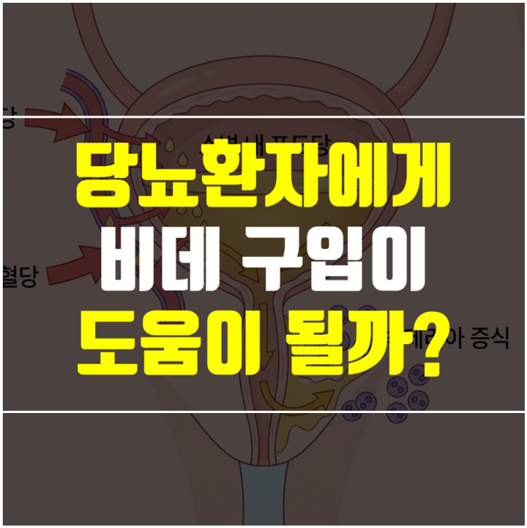  비데 구입 전 필독 - 당뇨 환자를 위한 올바른 3가지 사용법