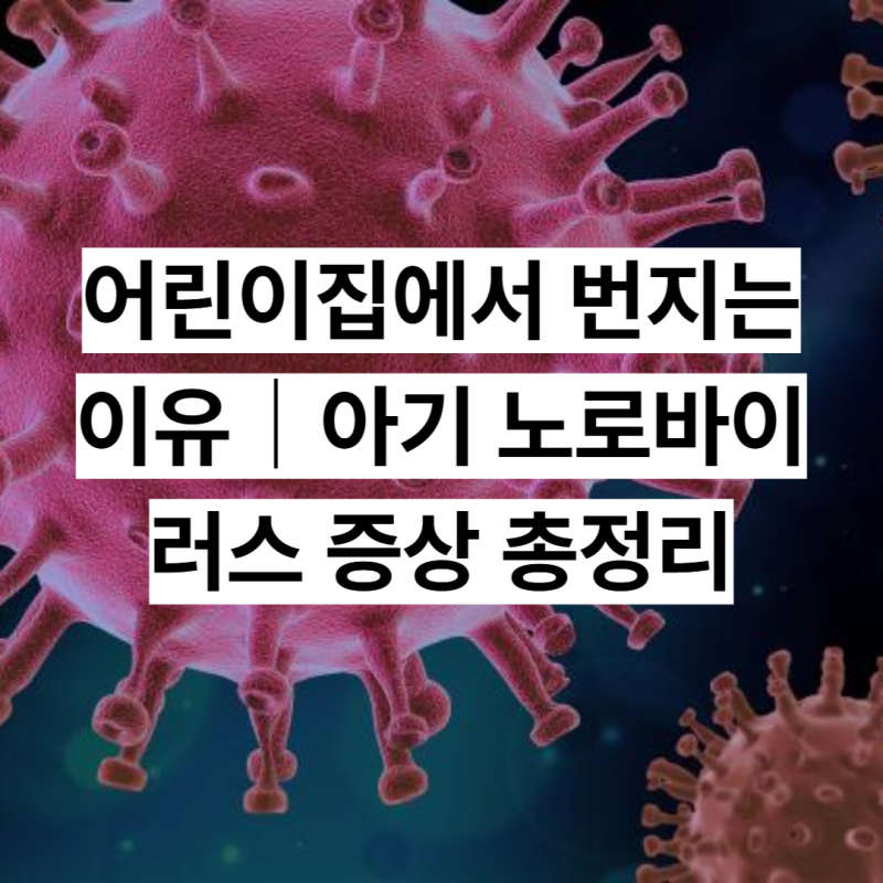 어린이집에서 번지는 이유｜아기 노로바이러스 증상 총정리