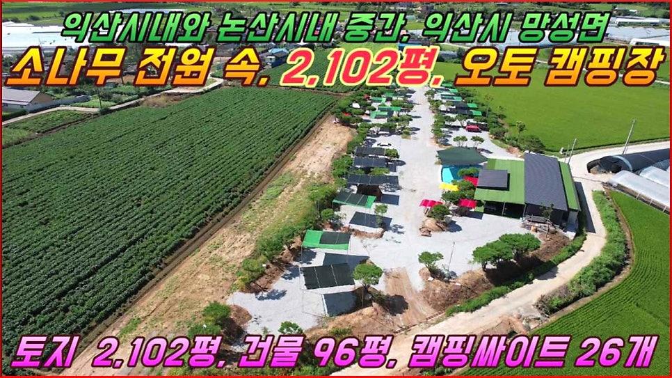 소나무 캠핑장 사진 1