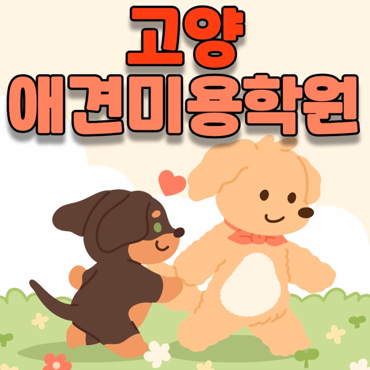 고양애견미용학원 배우기 전 필수적인 체크리스트