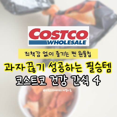  과자끊기 성공? 코스트코 추천템 죄책감 없이 즐기는 '찐' 원물칩 간식4