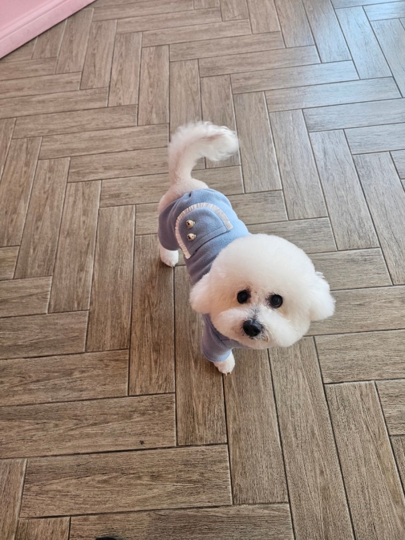 사진 5