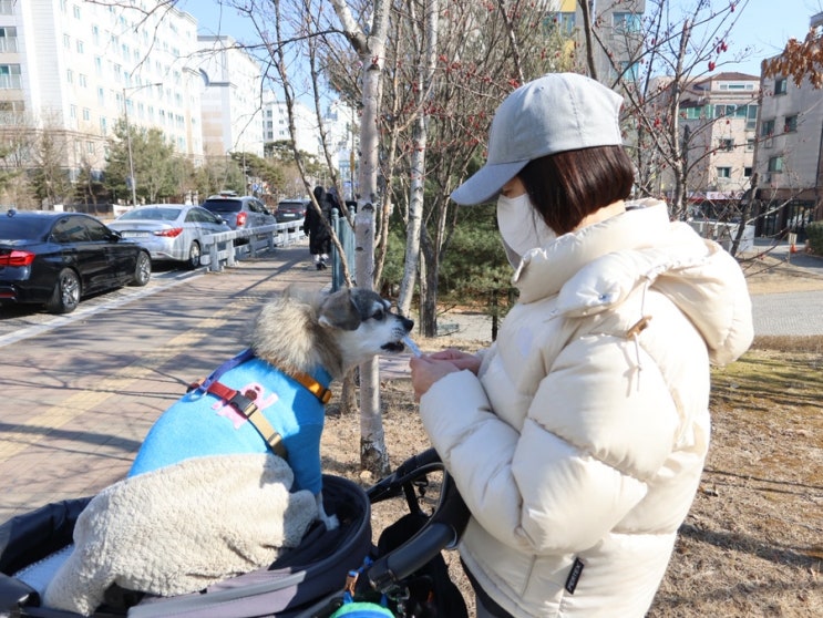  할미랑 단풍이, 그리고 우리가족의 요즘