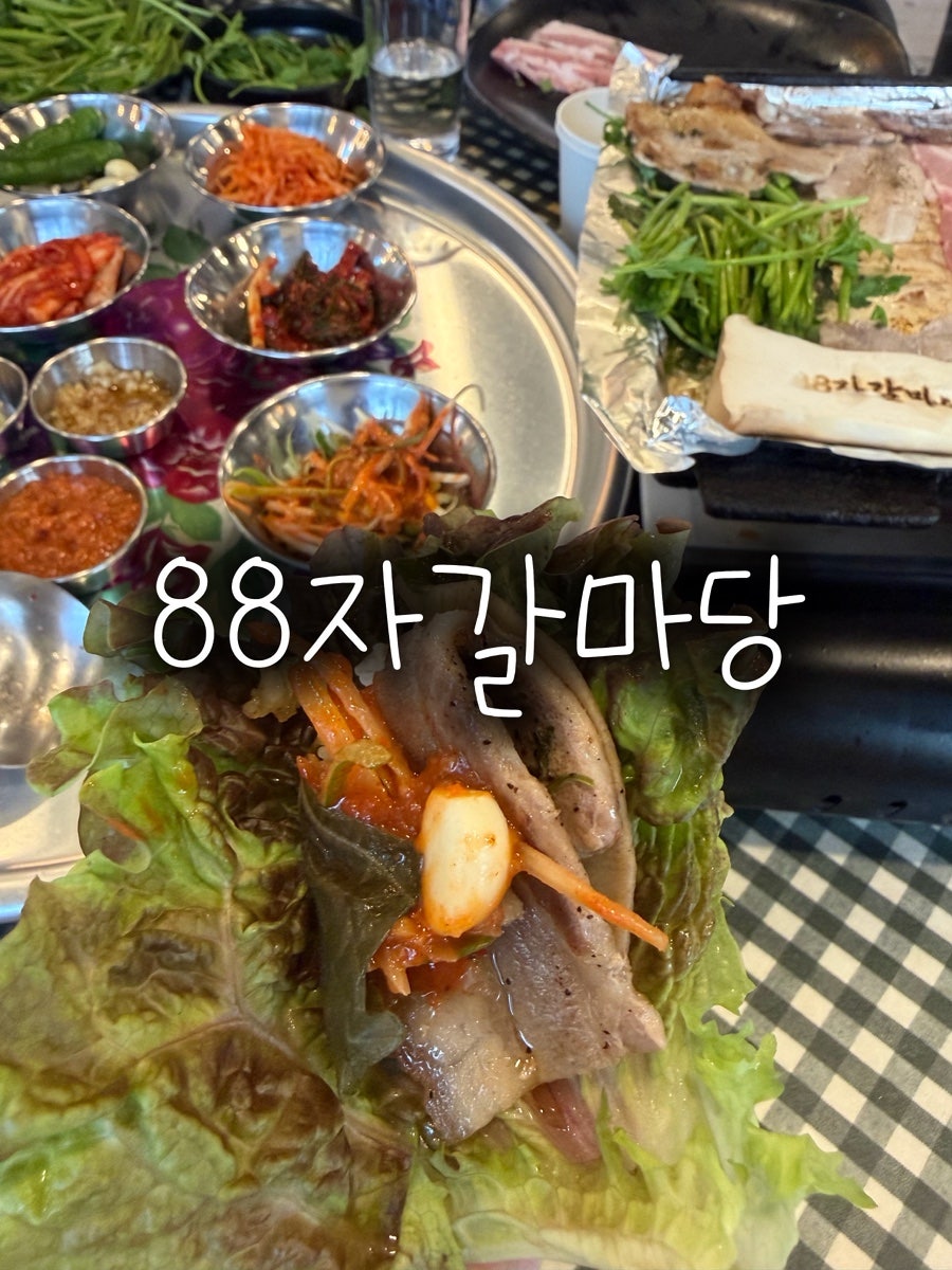 88자갈마당 사진 1