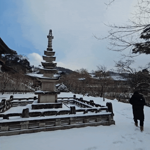  충주 일주일살기 충주여행 2일차 여행코스 국내여행지추천
