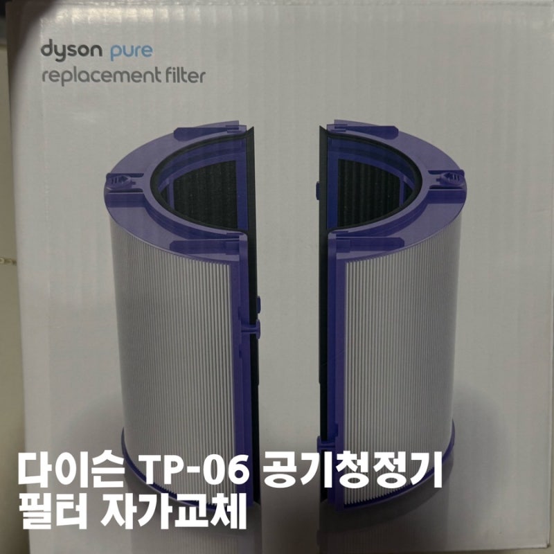 다이슨 TP-06 필터 자가 교체 후기 (쉽고 빠른 교체 방법 + 꿀팁)|다이슨 공기청정기|다이슨 선....
