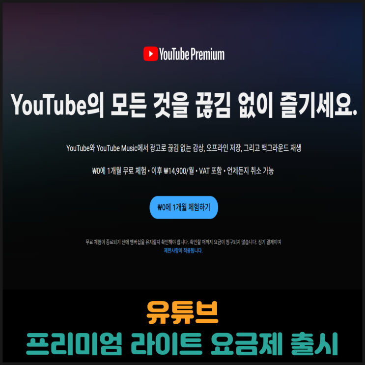  유튜브 프리미엄 라이트 요금제 출시