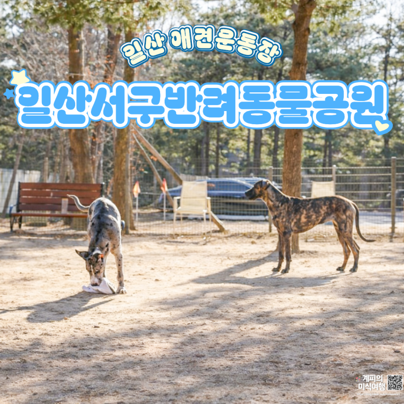 강아지놀이터
