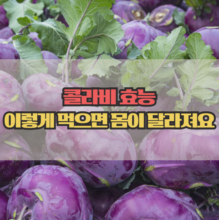  콜라비 효능, 이렇게 먹으면 몸이 달라져요