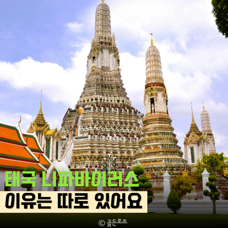  태국 여행 전 “이것”만 알면 니파바이러스 불안, 진짜 거짓말처럼 사라집니다