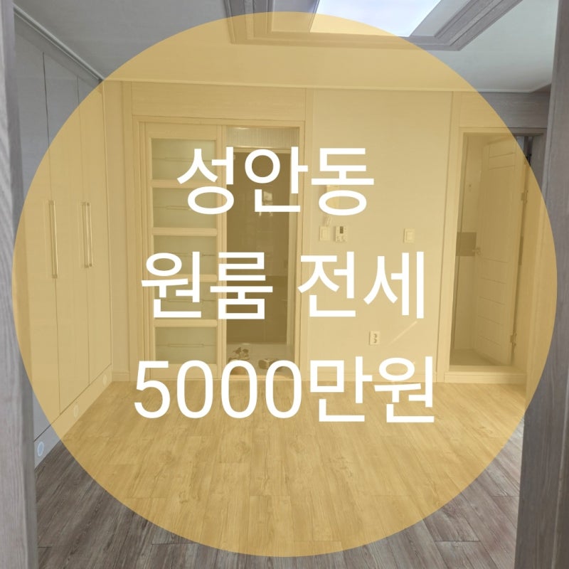울산 중구 성안동 풀옵션 원룸 전세[매물번호 M0548]