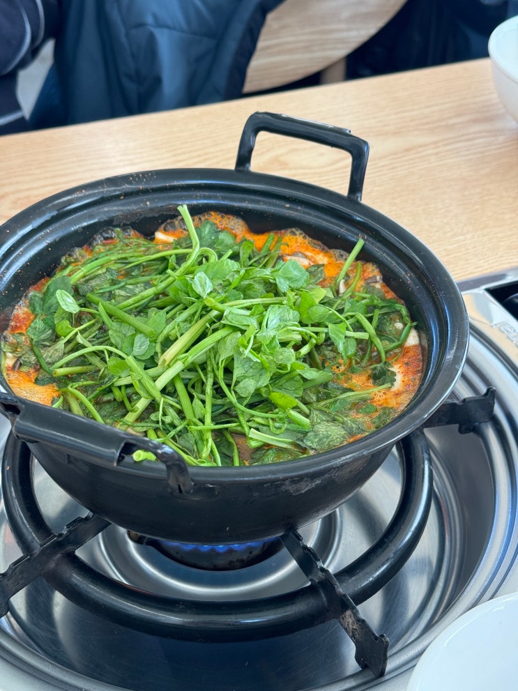 상주터미널근처맛집 등촌샤브칼국수상주점 내돈내산후기(주차장,야채 음료 무제한서비스)