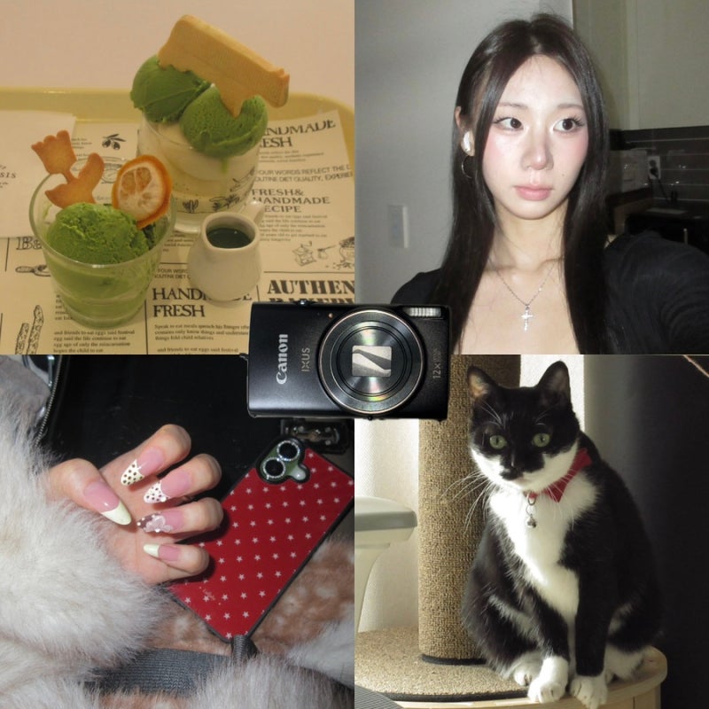 캐논 익서스 285 hs 후기 (디카 추천, 인물사진, 작례)