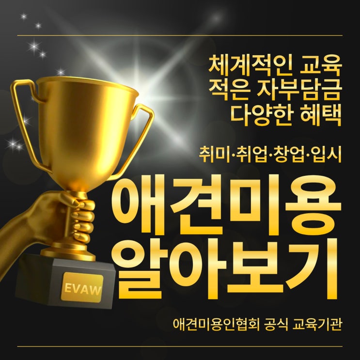  대구애견미용학원 국비지원, 무조건 좋을까? 등록 전 꼭 알아야 할 현실 정리