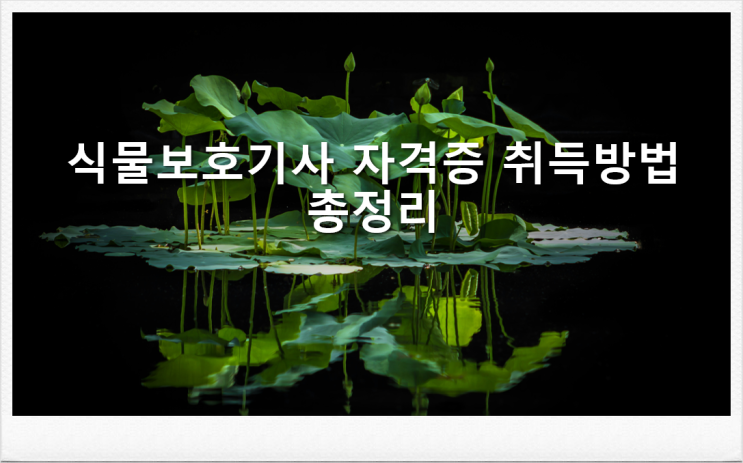  식물보호기사 자격증 취득방법 응시자격 시험과목 교육기관 기간 비용까지