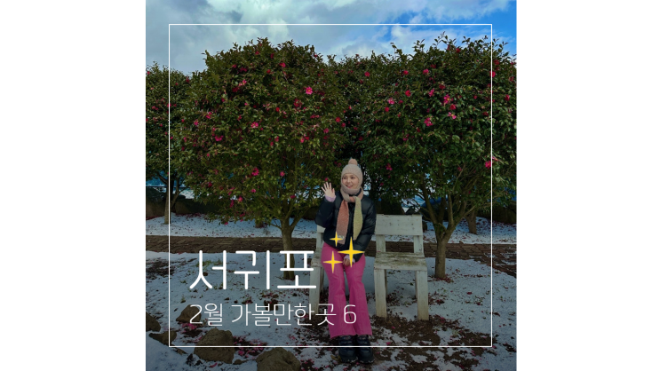  겨울 제주도 가볼만한곳 서귀포편 ㅣ 2월 여행 코스 BEST 6
