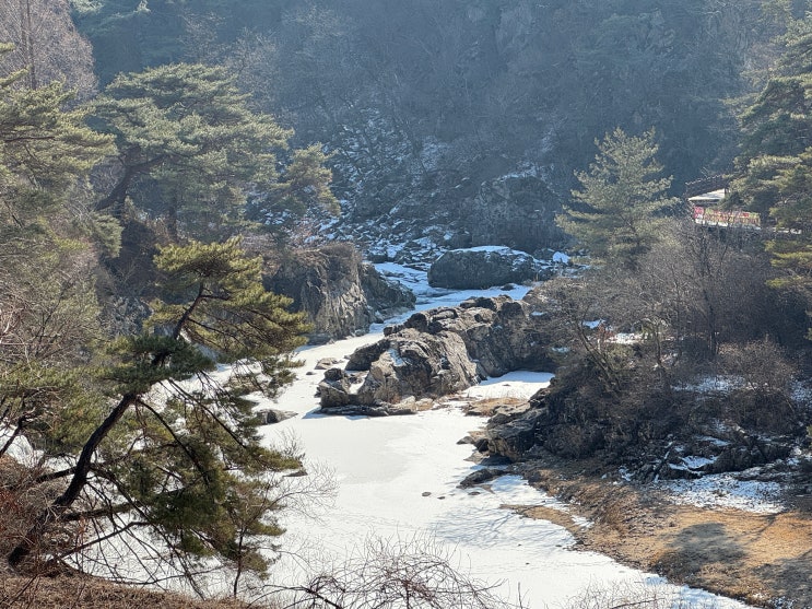  제천가볼만한곳 맛집 금대짬뽕 신림반점 신림빵까페 탁사정 사또가든 웅지순대국