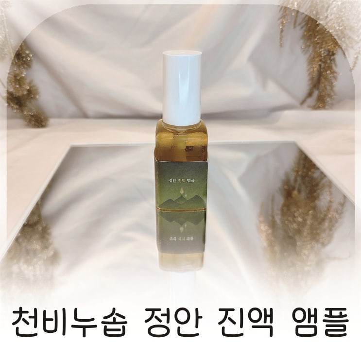  속건조 고민 끝, 화잘먹는 피부를 만든 천비누솝 정안 진액 앰플