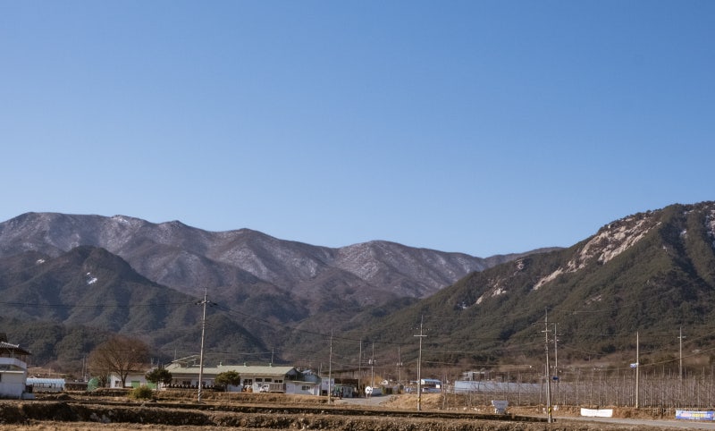 사진 2