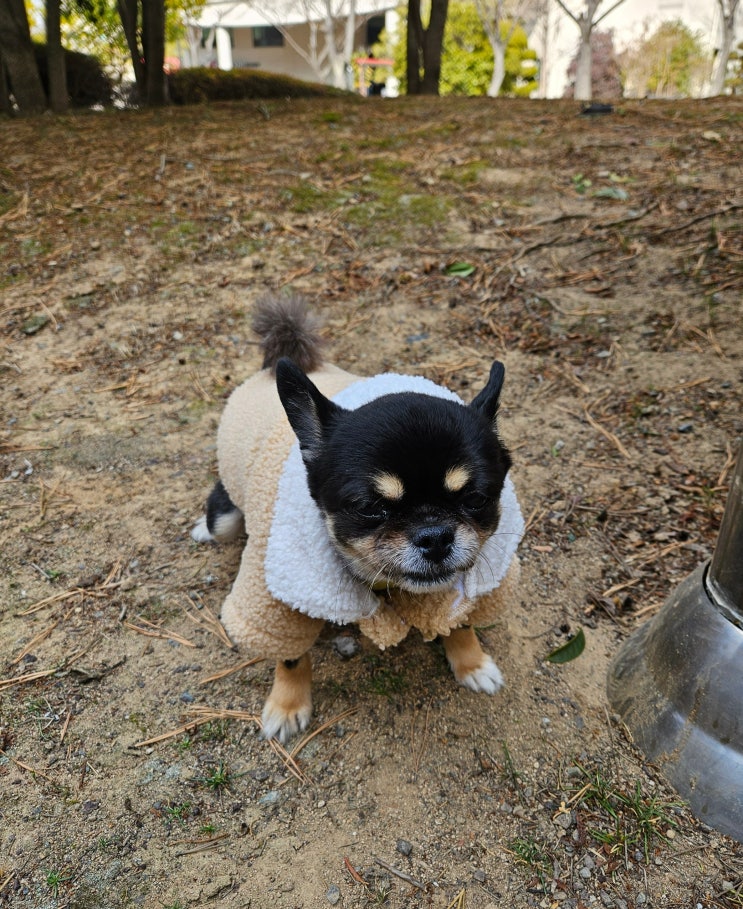  와꾸와의 행복한 동행