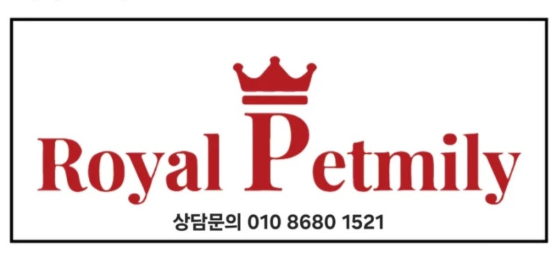사진 3