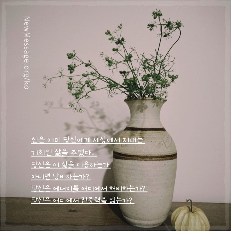  세상에서 지내는 기회, 삶