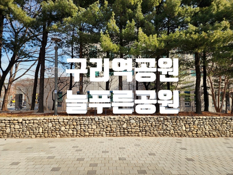  인창도서관 힐링 스팟 벤치와 쉼터가 많은 늘푸른공원