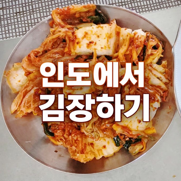  인도 구르가온에서 핑크소금으로 김장하기. 배추 10kg 김치담그기