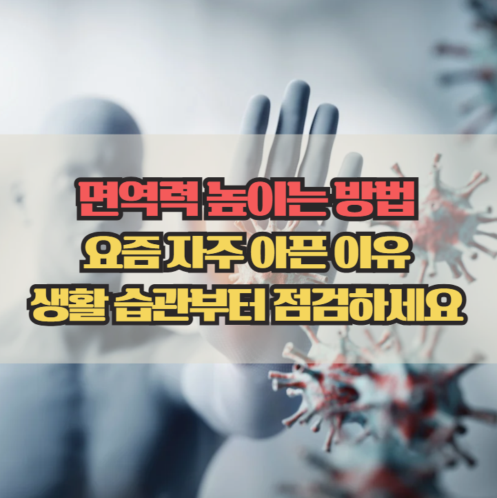  면역력 높이는 방법, 일상에서 바로 실천하는 습관