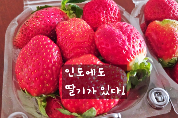 인도 식재료 | 인도에도 딸기 있다