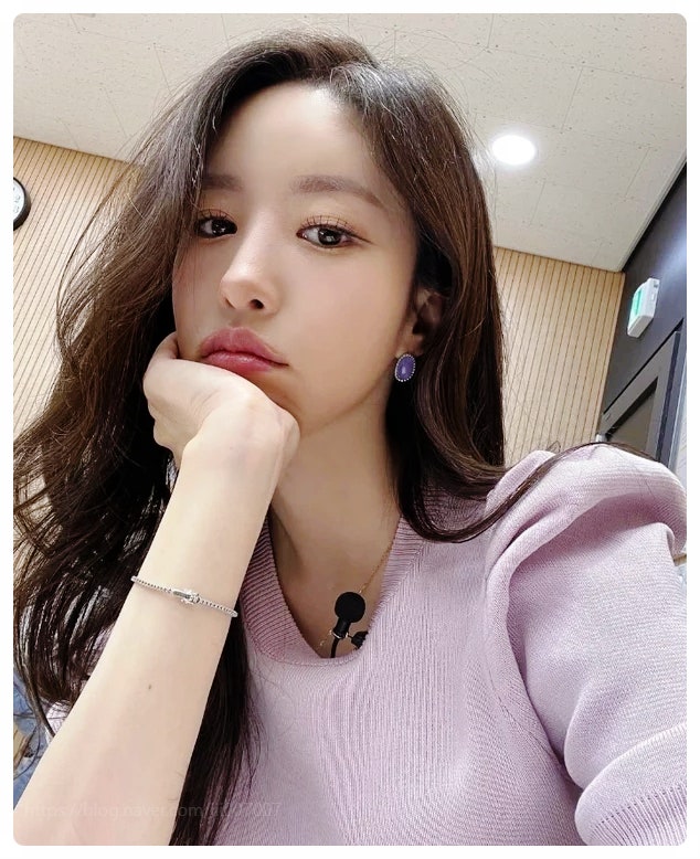 류시원 아내 이아영 100억 제안 사기 결혼의 전말과 반전 스펙