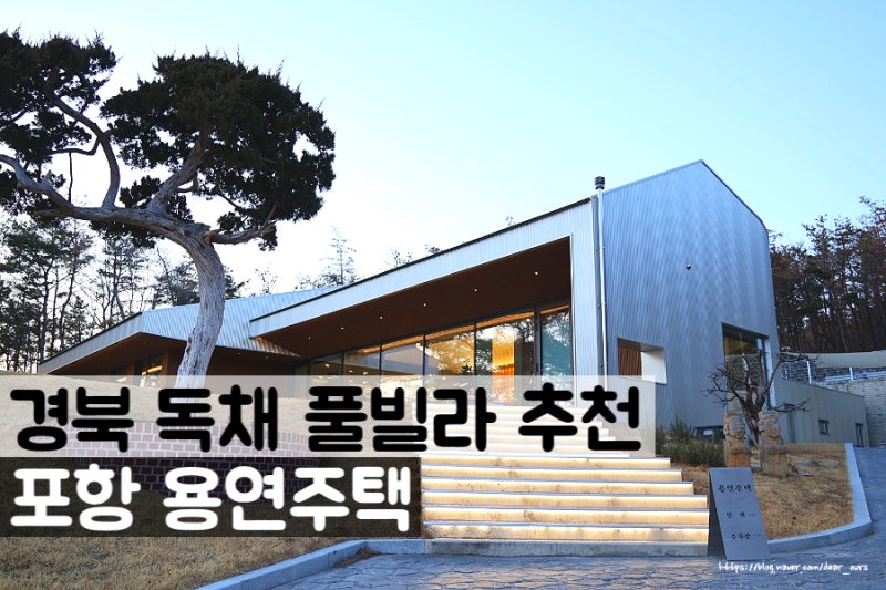 사진 2