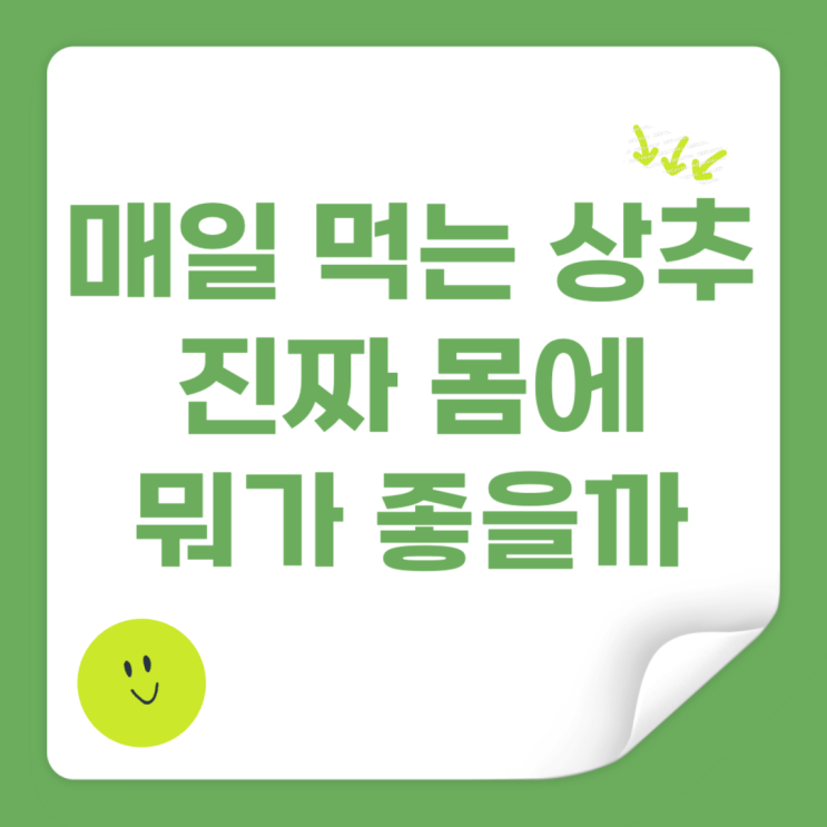  상추 효능 양상추 효능 차이 영양 보관방법 정리