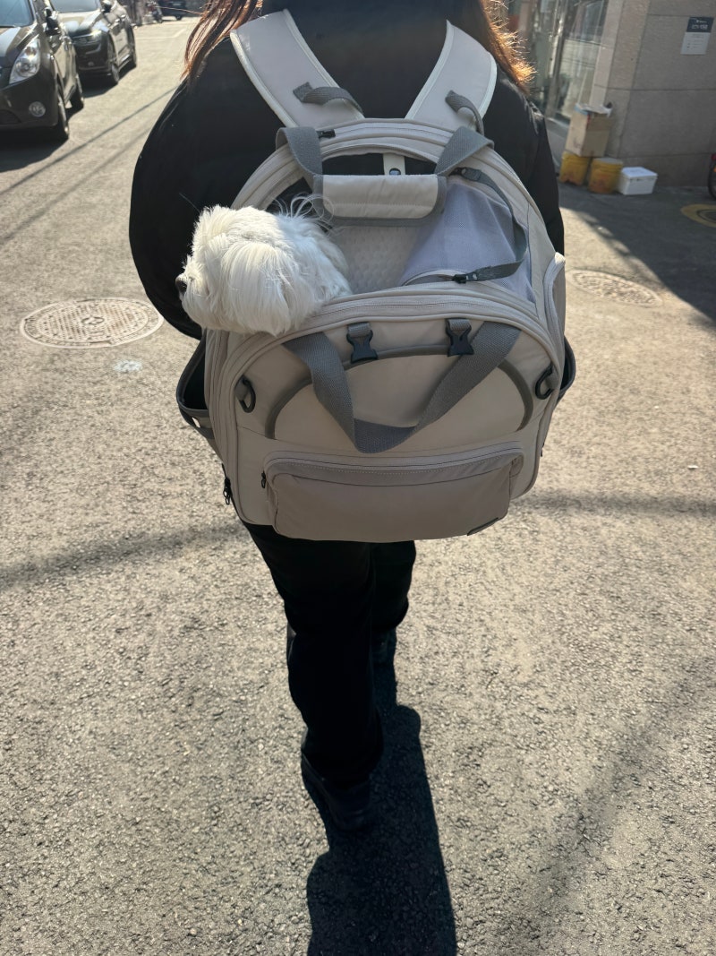 사진 2