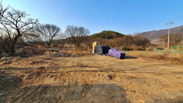 덕촌식당 사진 3