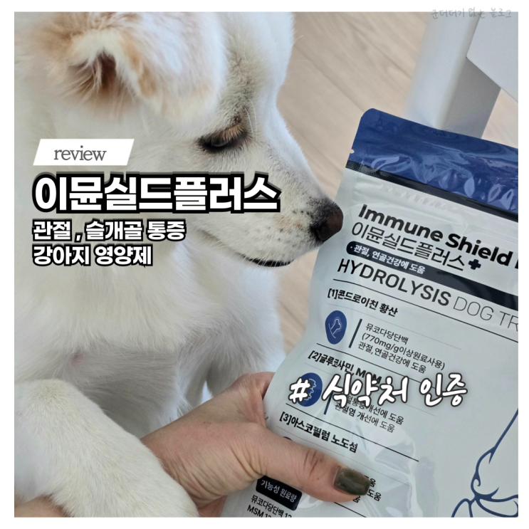  슬개골 관절 강아지영양제 추천 이뮨실드플러스 퍼피 강아지 간식 급여 후기