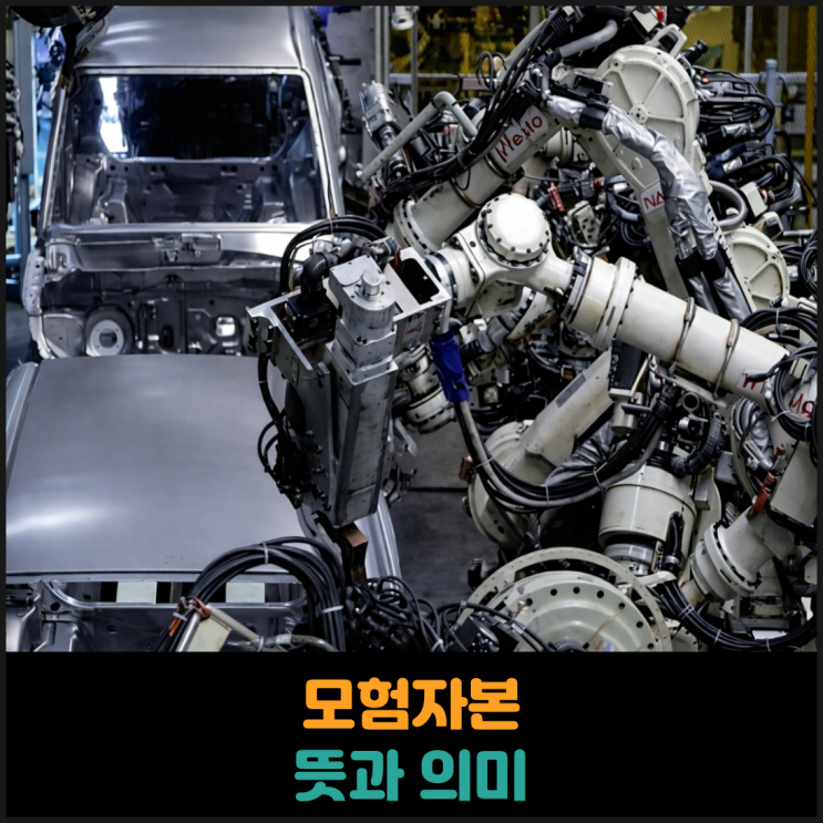  모험자본 뜻과 의미
