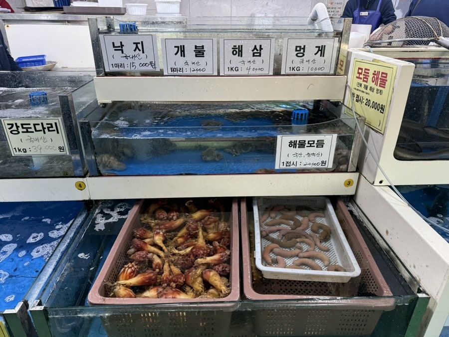 세종수산 사진 6