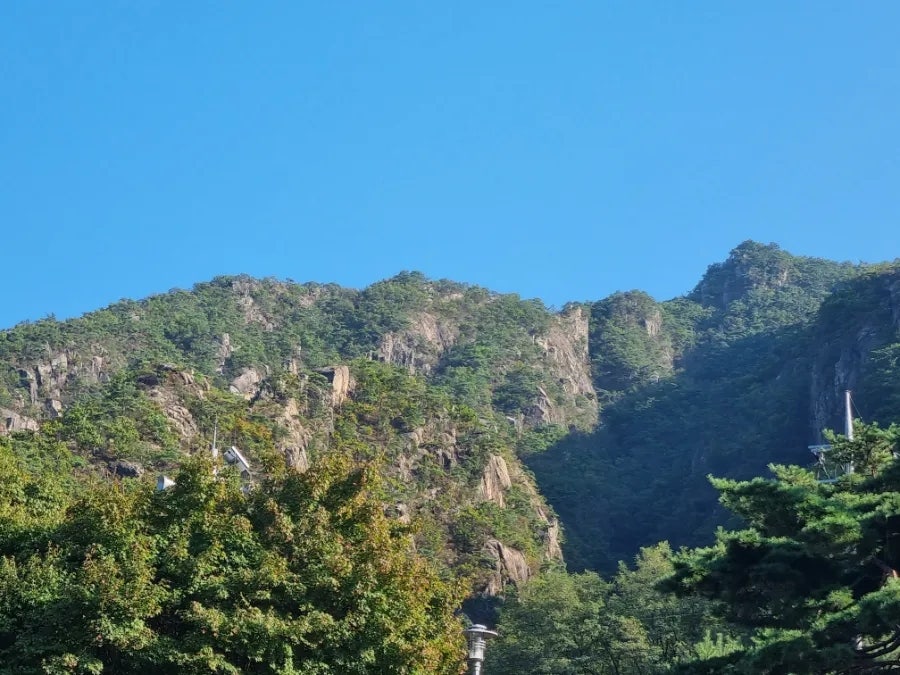 장회나루휴게소 사진 3