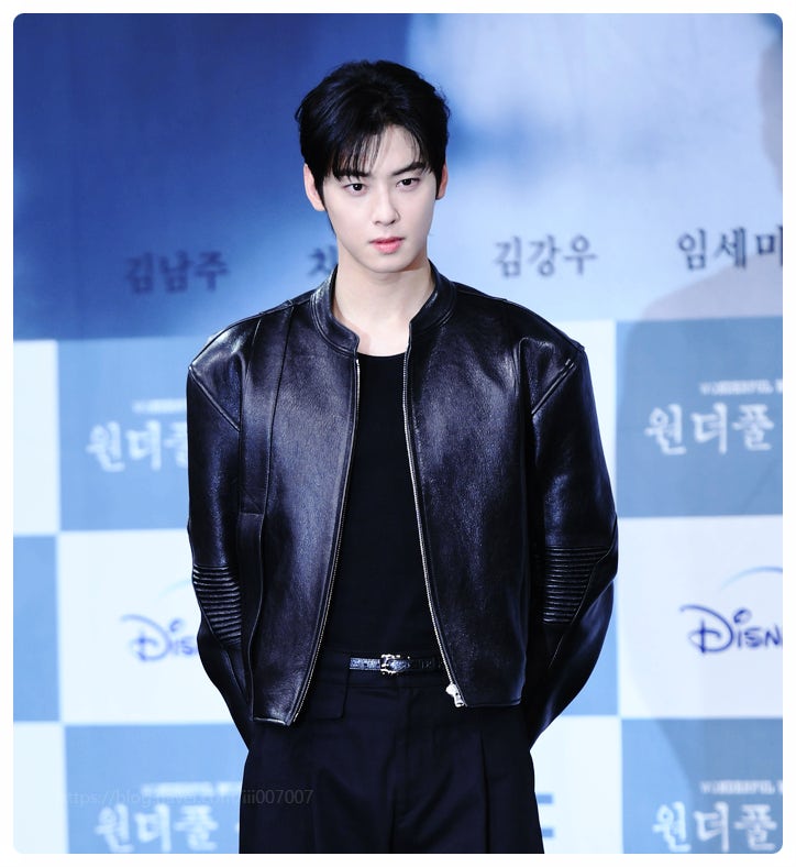 차은우 200억 추징금의 진실 연예인 1인 기획사 탈세 논란 완벽 해부